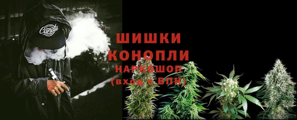 дживик Баксан