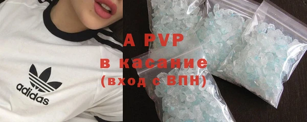 стаф Балахна