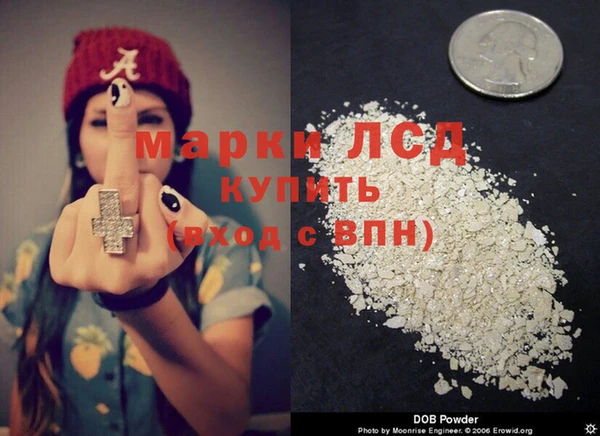 дживик Баксан