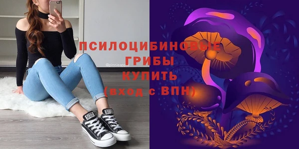 дживик Баксан