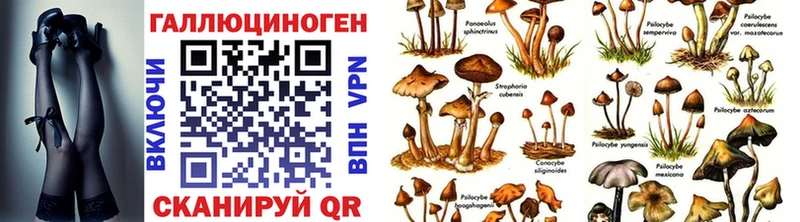 мега ONION купить цена Строитель Галлюциногенные грибы Magic Shrooms
